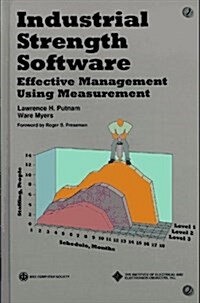 Industrial Strength Software (Hardcover, First Edition)