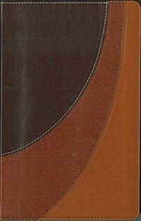 Amplified Bible LTD (Leather Bound)