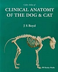 Colour Atlas of Clinical Anatomy of the Dog and Cat (Paperback)