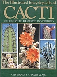 The Illustrated Encyclopedia of Cacti: Over 1200 Species Illustrated and Identified (Hardcover)