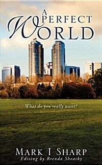 A Perfect World (Paperback)