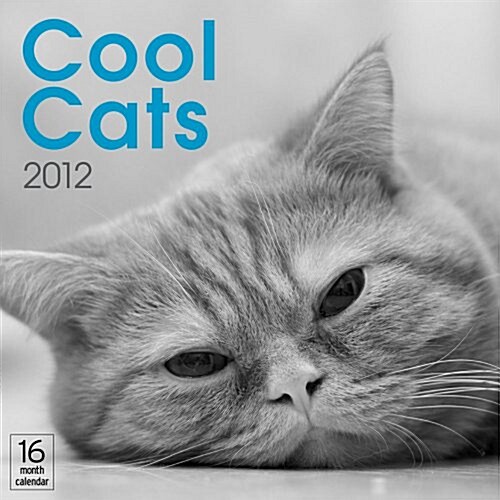 2012 Cool Cats Wall calendar (Calendar, 16m Wal)