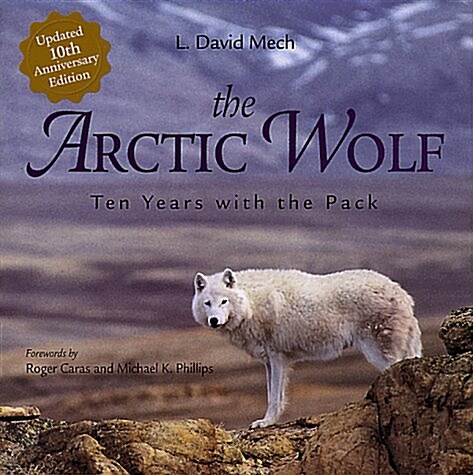 The Arctic Wolf: Ten Years With the Pack (Hardcover, 10 Anv Sub)