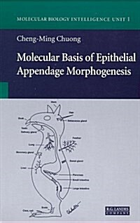 Molecular Basis of Epithelial Appendage Morphogenesis (Molecular Biology Intelligence Unit) (Hardcover)