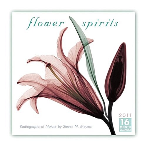 Flower Spirits 2011 Wall Calendar (Calendar) (Calendar, 16m Wal)