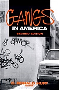 Gangs in America (Paperback, 3rd)