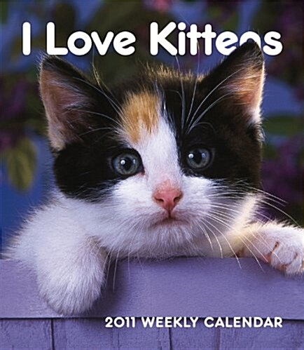 Kittens 2011 Hardcover Weekly Engagement (Calendar, Egmt)