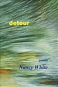 Detour (Paperback)