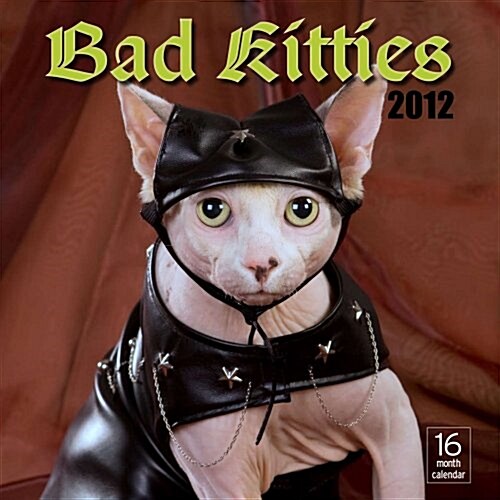 2012 Bad Kitties Wall calendar (Calendar, Wal)