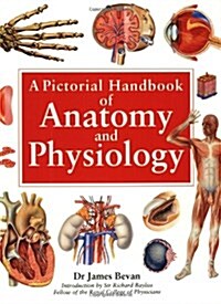 A Pictorial Handbook of Anatomy & Physiology (Paperback, 2nd)