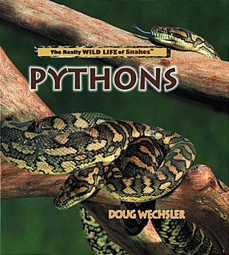 Pythons (Really Wild Life of Snakes) (Library Binding)