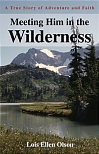 Meeting Him in the Wilderness: A True Story of Adventure and Faith (Paperback)