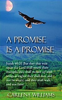 A Promise Is a Promise (Paperback)