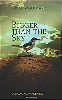 Bigger Than the Sky (Paperback)