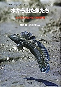 水から出た魚たち―ムツゴロウとトビハゼの挑戰 (單行本-精裝)