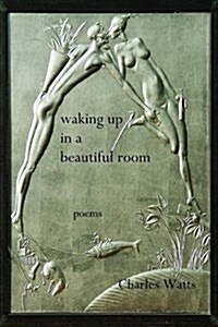 Waking Up in a Beautiful Room (Paperback)