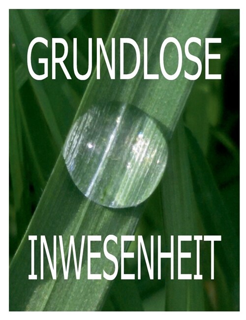 Grundlose Inwesenheit: 22 Ekstatische Essays 1992-2015 (Paperback)