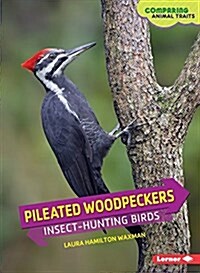 Pileated Woodpeckers: Insect-Hunting Birds (Paperback)