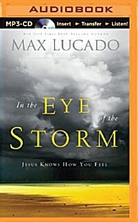 In the Eye of the Storm: Jesus Knows How You Feel (MP3 CD)