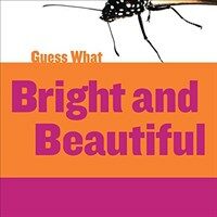 Bright and beautiful 표지이미지