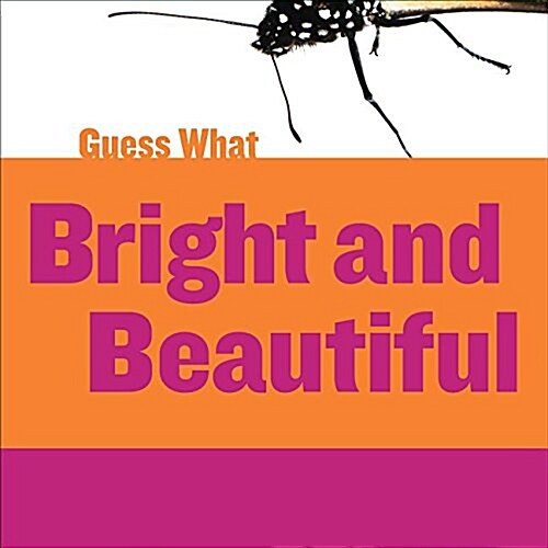 Bright and Beautiful: Butterfly (Library Binding)