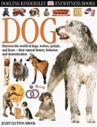 Dog ( DK Eyewitness Books ) (Prebound)