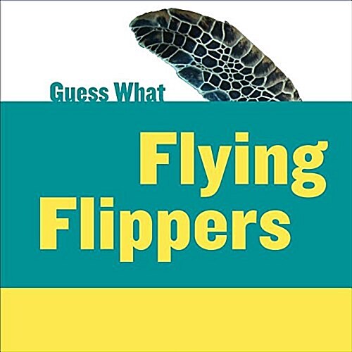 Flying Flippers: Sea Turtle (Library Binding)