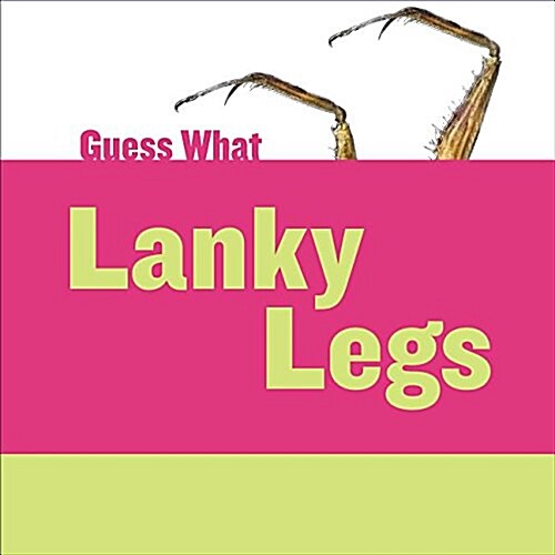 Lanky Legs: Praying Mantis (Library Binding)
