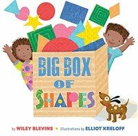 Big Box of Shapes (Library Binding)