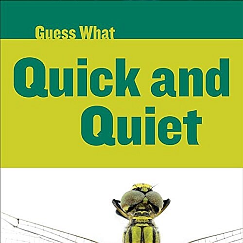 Quick and Quiet: Dragonfly (Paperback)