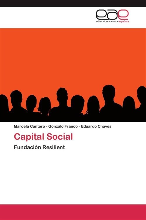 Capital Social (Paperback)