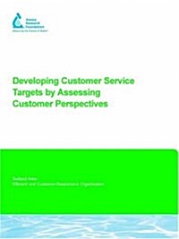 Developing Customer Service Targets by Assessing Customer Perspectives (Paperback)