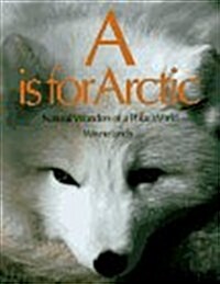 A Is for Arctic (Paperback)