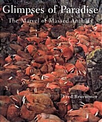 Glimpses of Paradise (Hardcover)