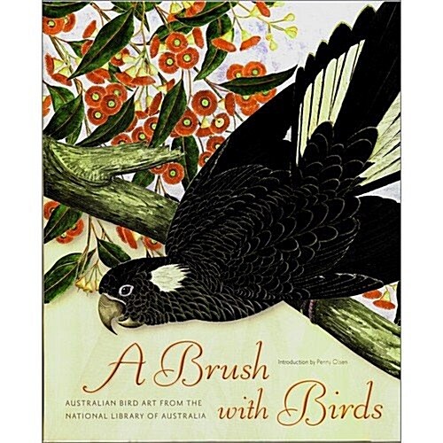 A Brush With Birds (Paperback)