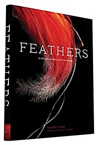 Feathers: Displays of Brilliant Plumage (Hardcover)