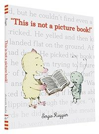 This is not a picture book! 