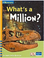 Iopeners What's a Million? Grade 4 2008c (Paperback)