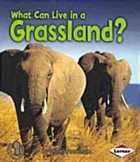 What Can Live in a Grassland? (Paperback)