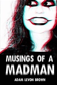 Musings of a Madman (Paperback)