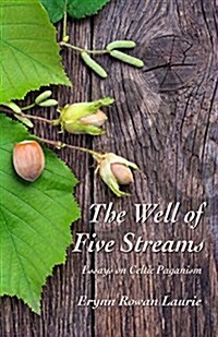 The Well of Five Streams (Paperback)