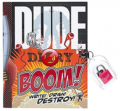 Dude Diary Boom (Paperback)