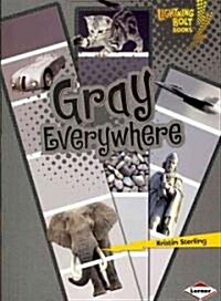 Gray Everywhere (Paperback)