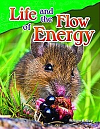 Life and the Flow of Energy (Paperback)