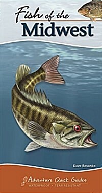 Fish of the Midwest: Your Way to Easily Identify Fish (Spiral)