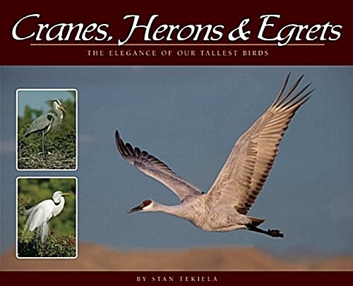 Cranes, Herons & Egrets: The Elegance of Our Tallest Birds (Paperback)