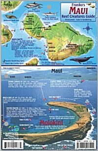 Maui Hawaii Map & Reef Creatures Guide Franko Maps Laminated Fish Card (Map, 2)