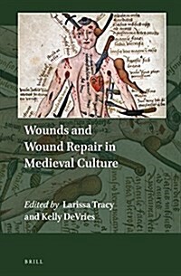 Wounds and Wound Repair in Medieval Culture (Hardcover, LAM)