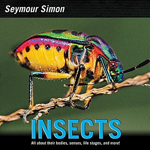 Insects (Paperback)