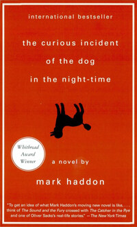 (The)curious incident of the dog in the night-time